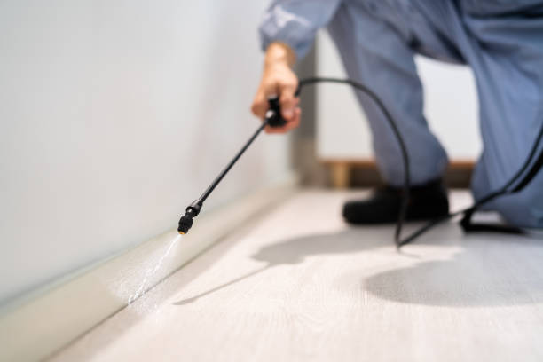 Licensed Mosquito Control service in Schertz, TX - Show Me Pest Control