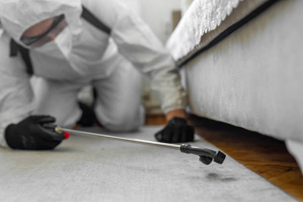 Professional Ant Control technician working in Schertz, TX