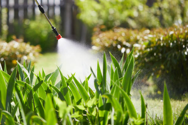 24/7 Emergency Mosquito Control experts in Schertz, TX