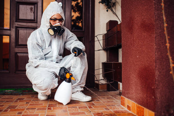 Reliable Mosquito Control contractor in Schertz, TX by Show Me Pest Control
